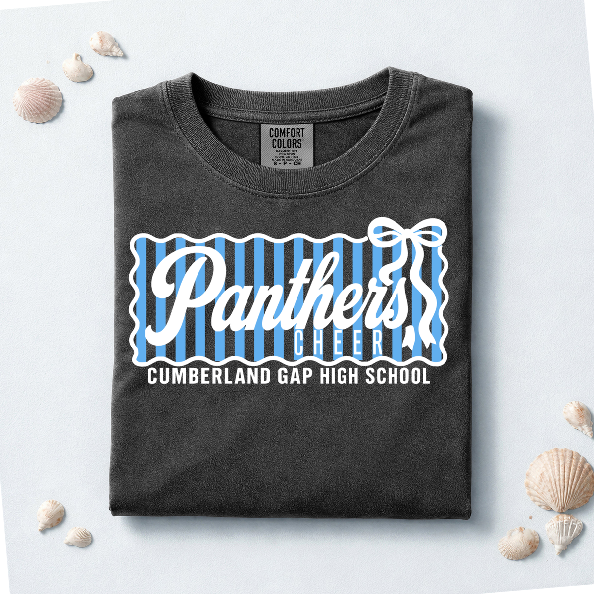 CGHS Panthers Cheer Spirit Shop