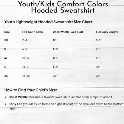 COZY Word Art | Comfort Colors Sweatshirt